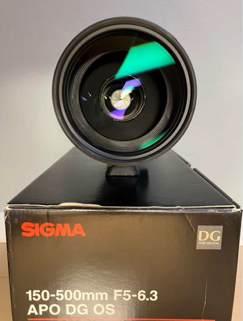 たぬき SIGMA APO 150-500mm F5-6.3 DG OS