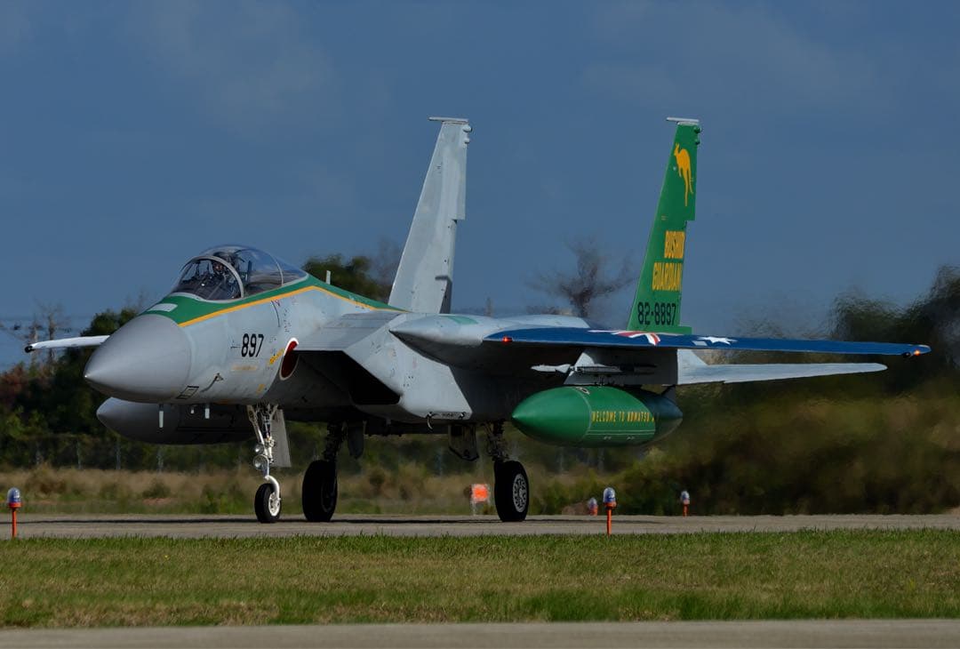 たぬき SIGMA APO 150-500mm F5-6.3 DG OS