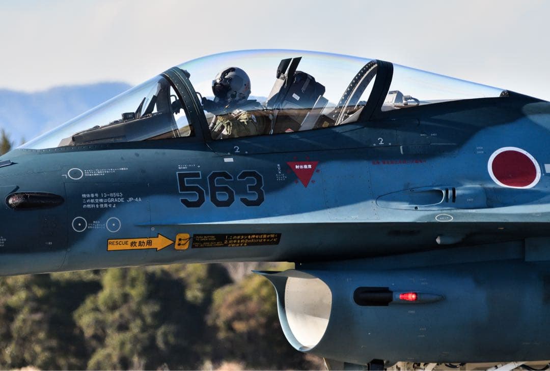 たぬき SIGMA APO 150-500mm F5-6.3 DG OS