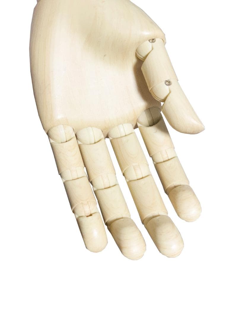 腕付きトルソー マネキン 木製脚 アーム可動式 メンズ 5本指 高さ調整