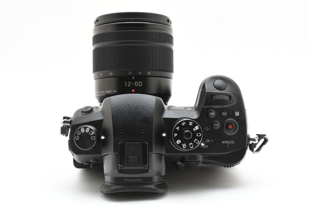 ■ショット数3451回■LUMIX DC-GH5 標準ズームレンズキット