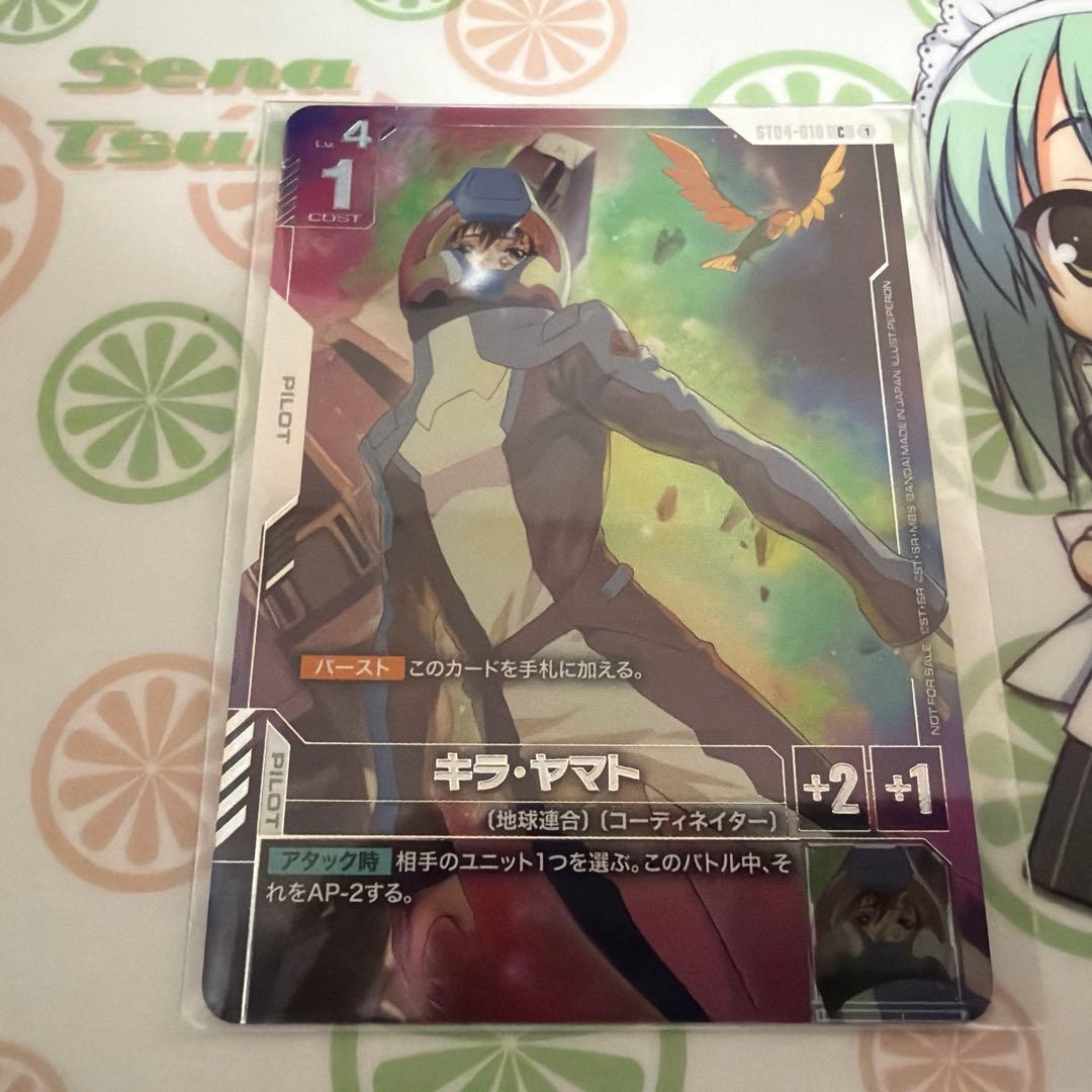 キラ・ヤマト　ニュータイプチャレンジ