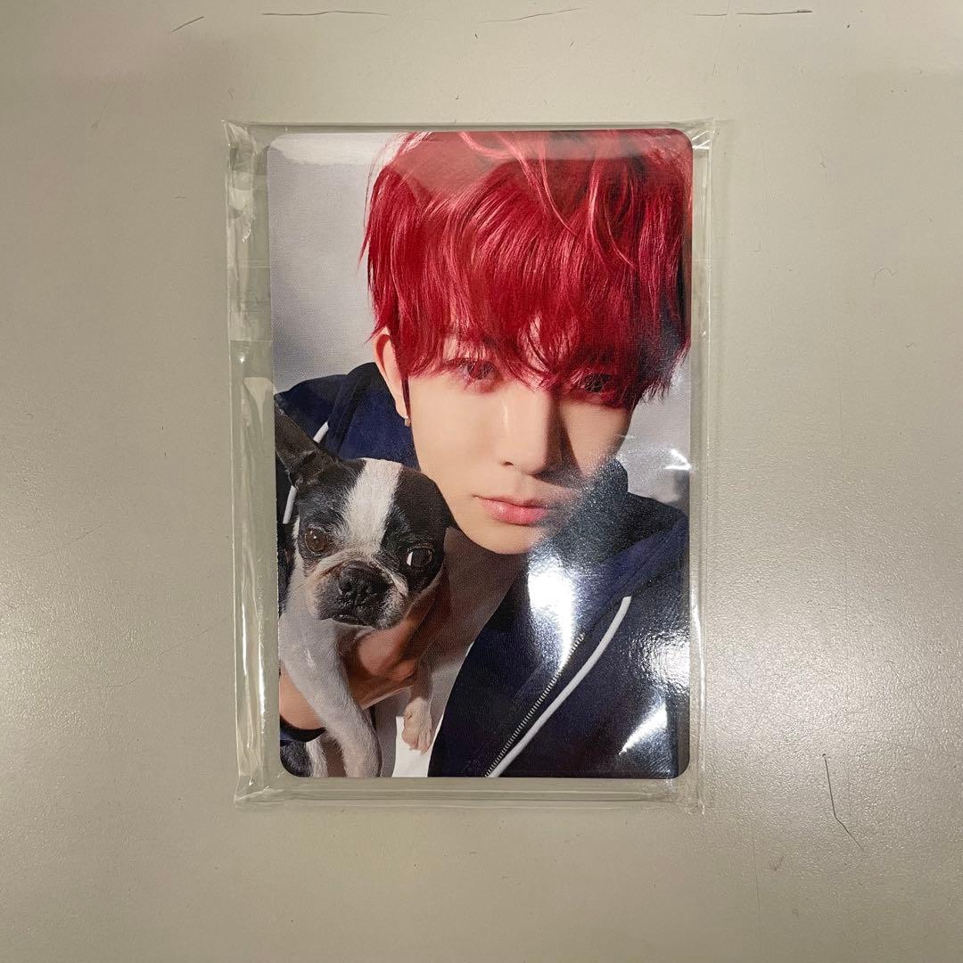 ENHYPEN ヒスン アンケートトレカ 2025