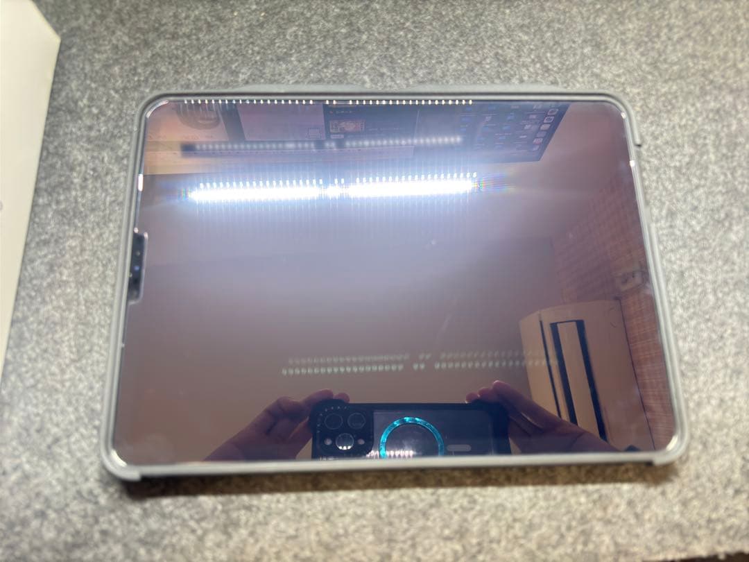 美品 iPad Pro 11インチ1TB＋ZUGUケース