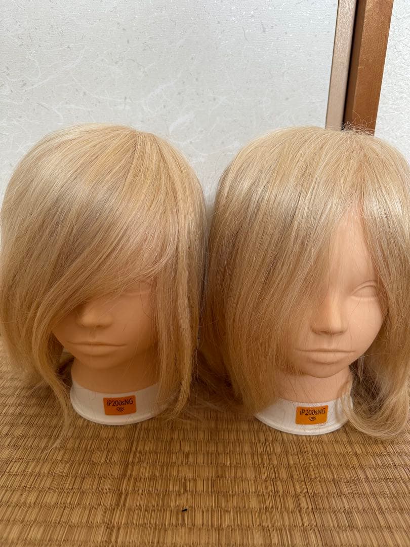 カットウィッグ　ip200sNG 2体