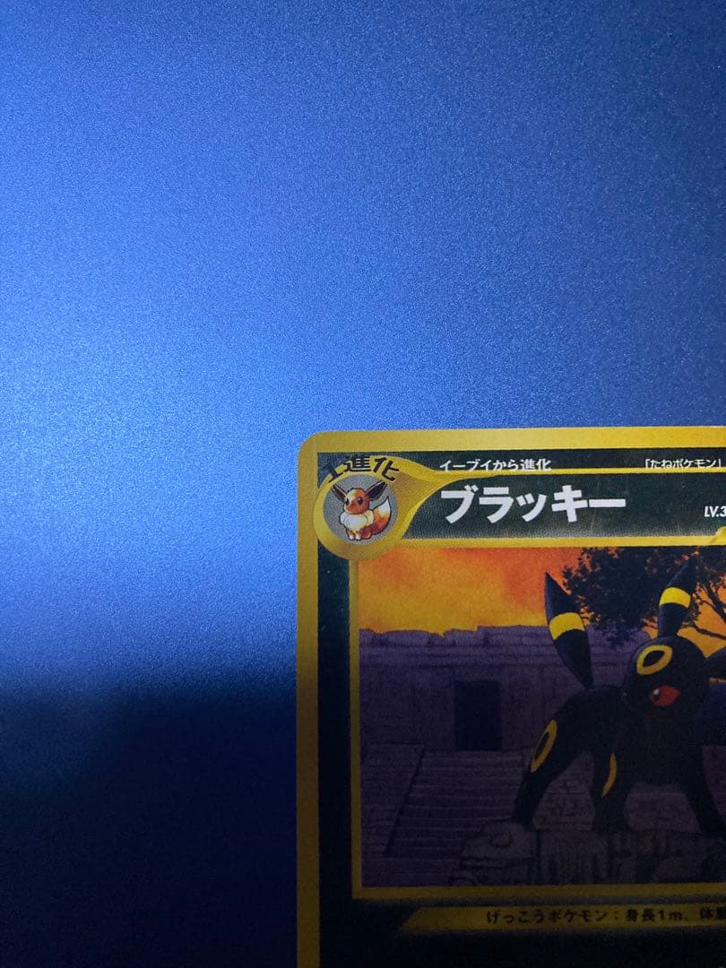 ブラッキー_プレミアムファイル2 PROMO 第2世代（★neo・★VS・★w…