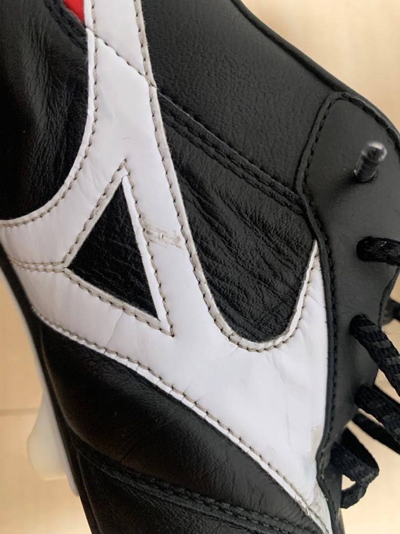 モレリア 2 クロスステッチ26cm