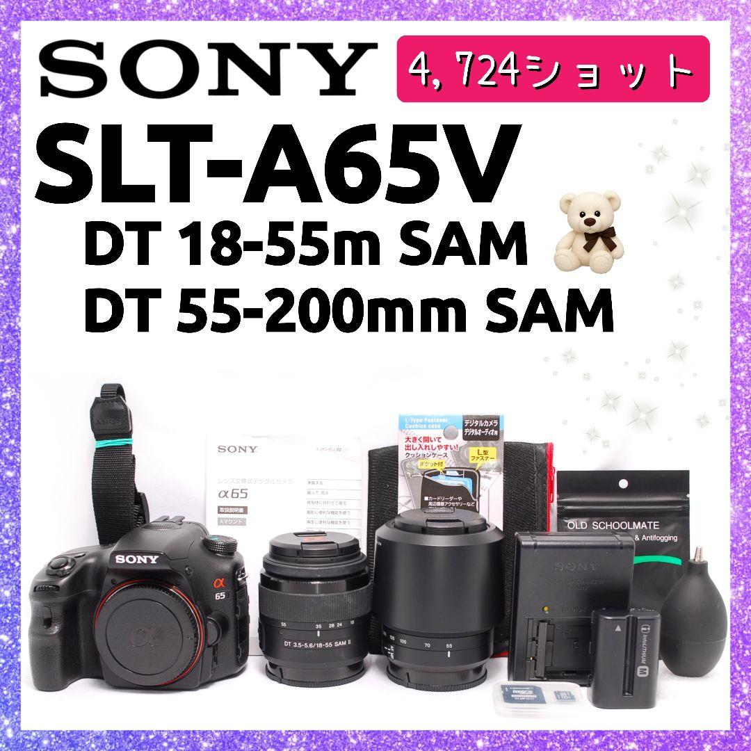 ❤即購入1000円OFF❤美品❤ ソニー α65 望遠レンズ ダブルズーム