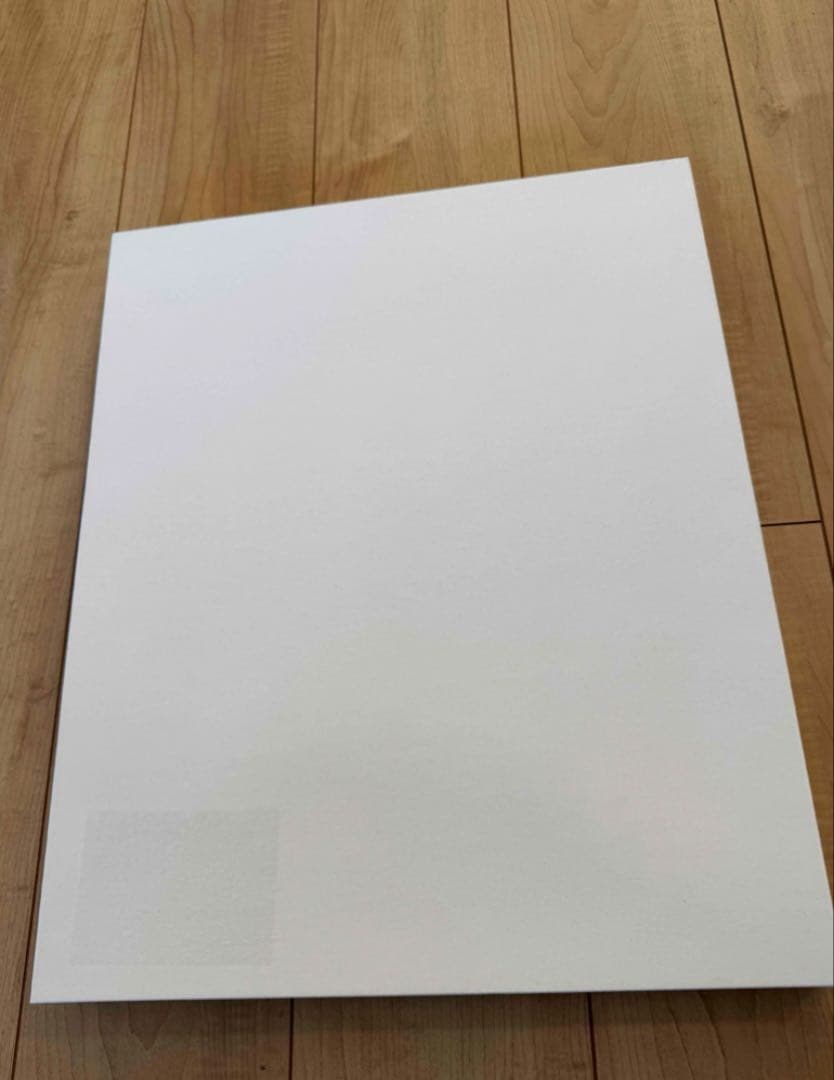 新品　正規品　桂正和 複製原画 I”S アイズ 葦月伊織 集英社