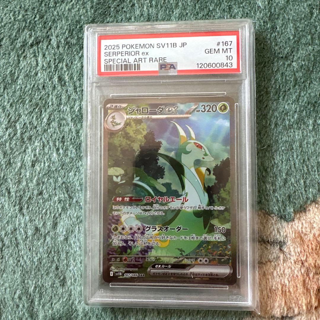 ジャローダsar psa10