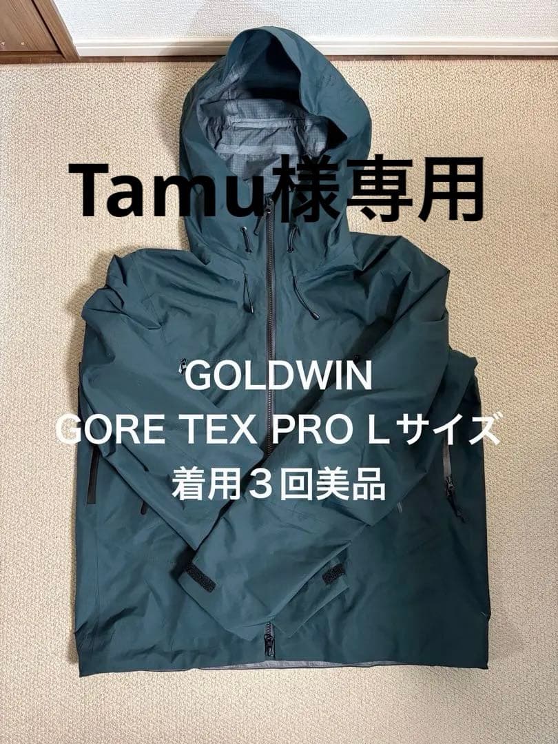 専用品 GOLDWIN GORE-TEX PRO Lサイズ マウンテンパーカー