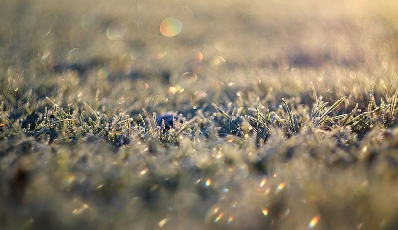 48　ぐるぐるボケレンズ　ヘリオス　44-2　M42アダプター付