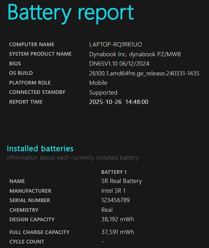 ハ*レ様 dynabook PZ/MWB W6PZMW5EAB