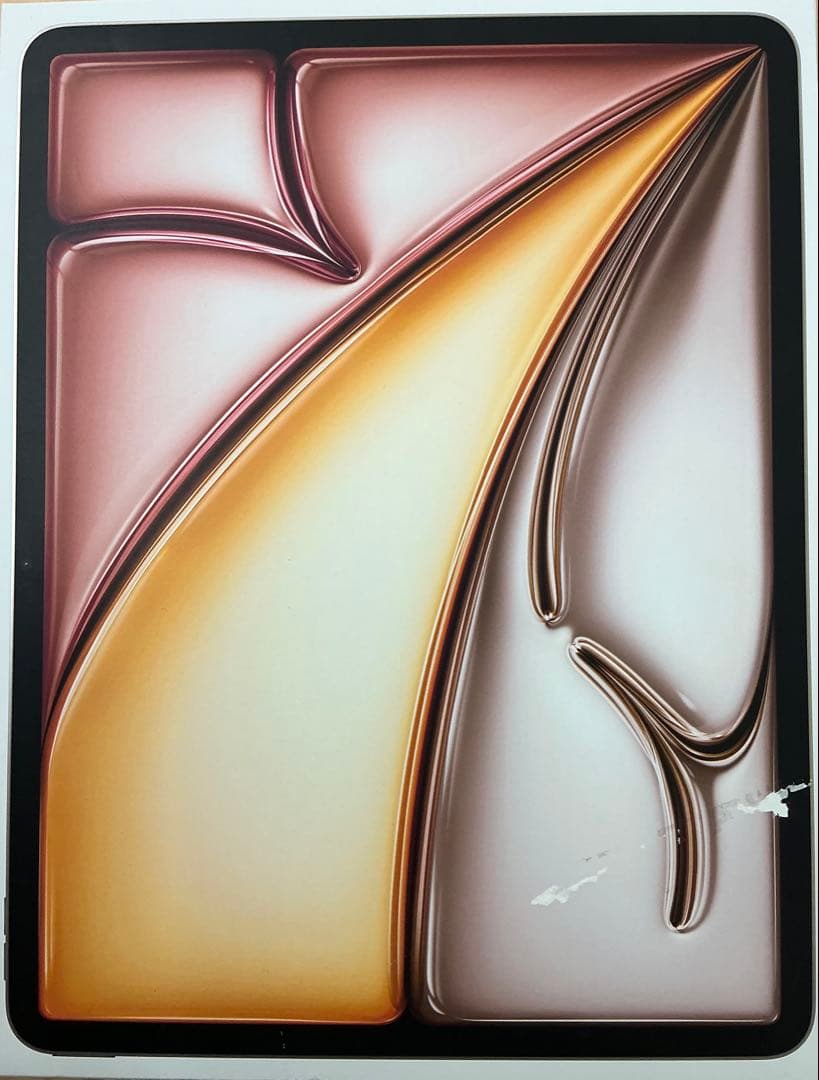 iPad本体 iPad Air (M2) 256GB Wi-Fi + Cellular