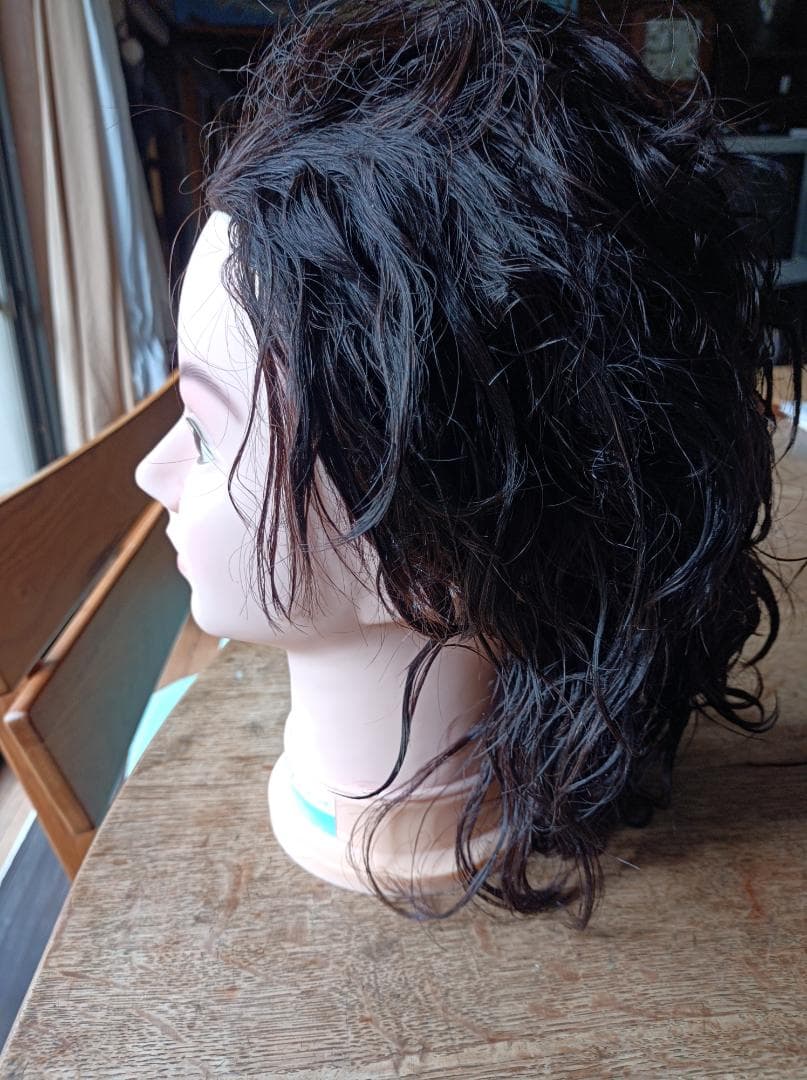 東京チャーム　オールウェーブ用モデルウィッグ　R900N