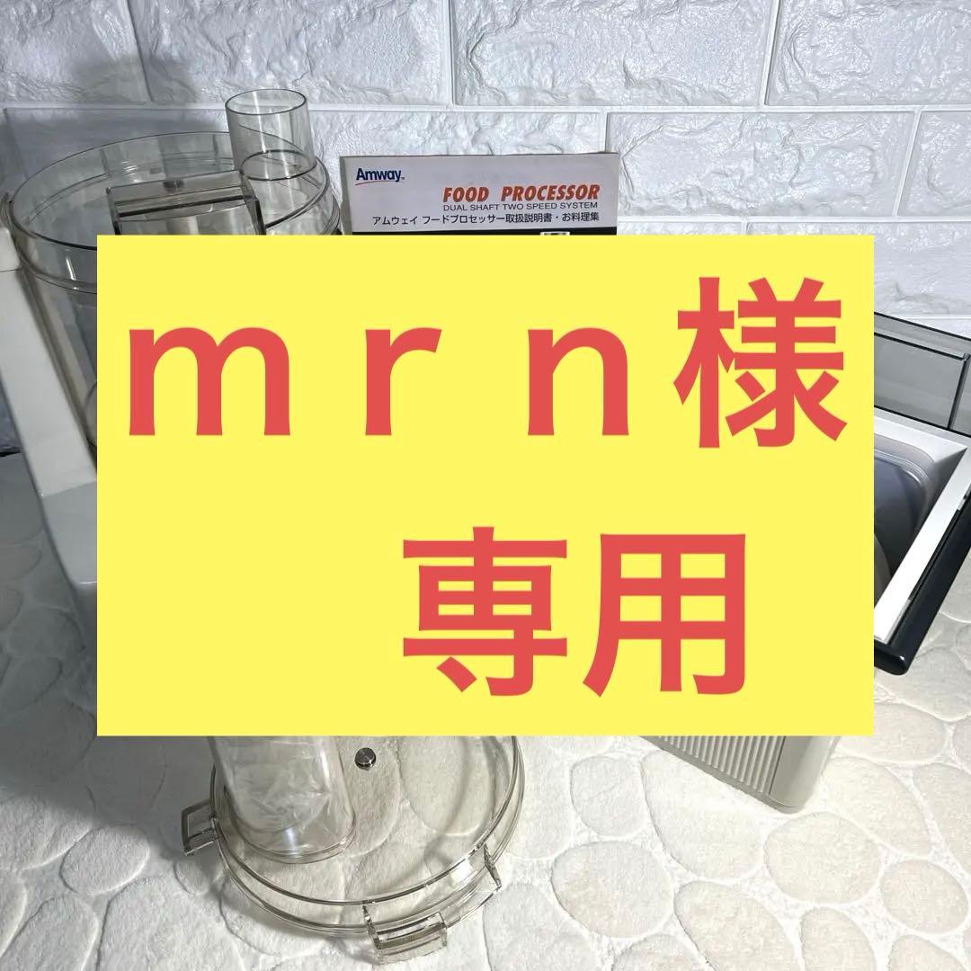 Amway フードプロセッサー　付属品　取扱説明書