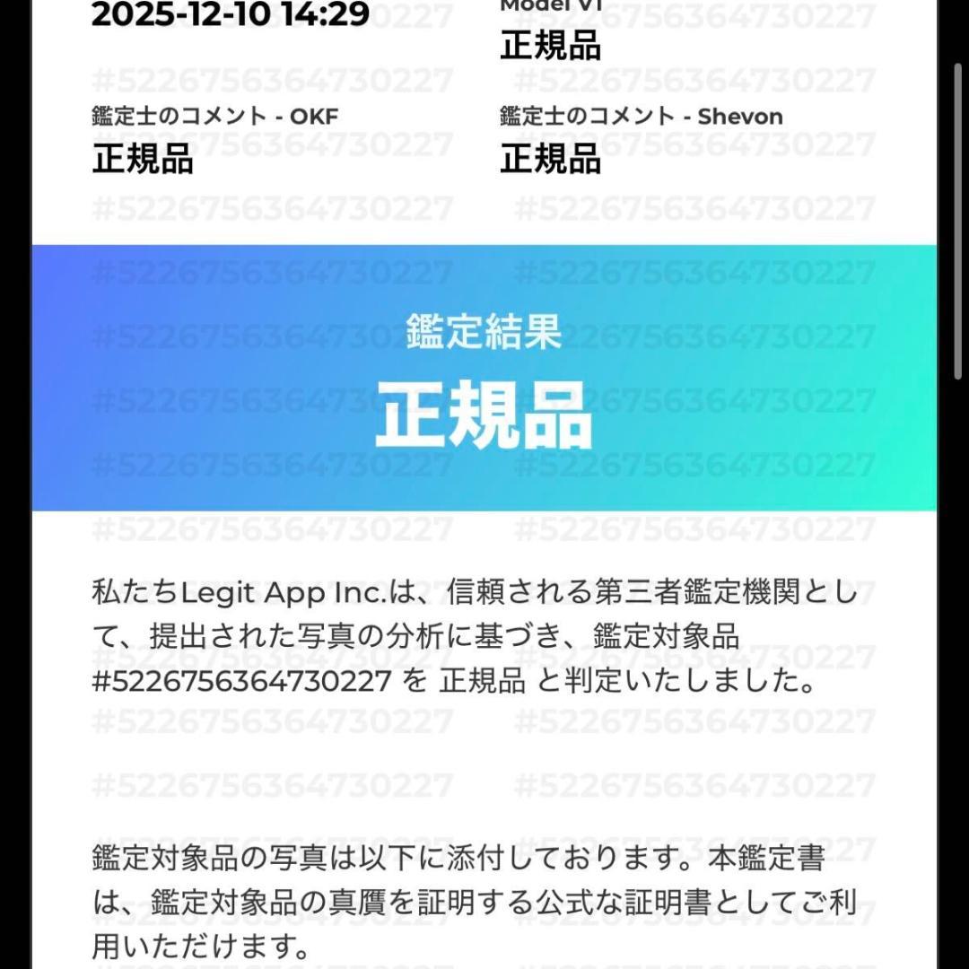 鑑定済 ルイヴィトン メッセンジャー 黒 アエログラム ショルダー ポーチ付