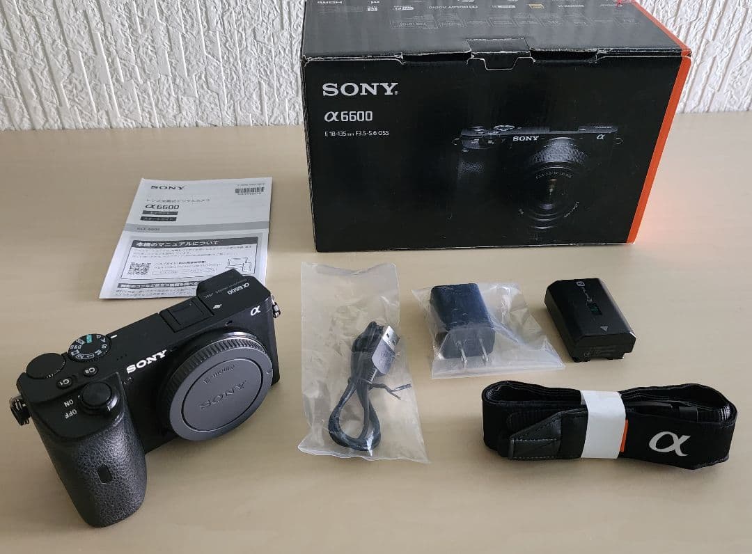 SONY α6600 ミラーレス一眼カメラ 本体 ／付属品付き