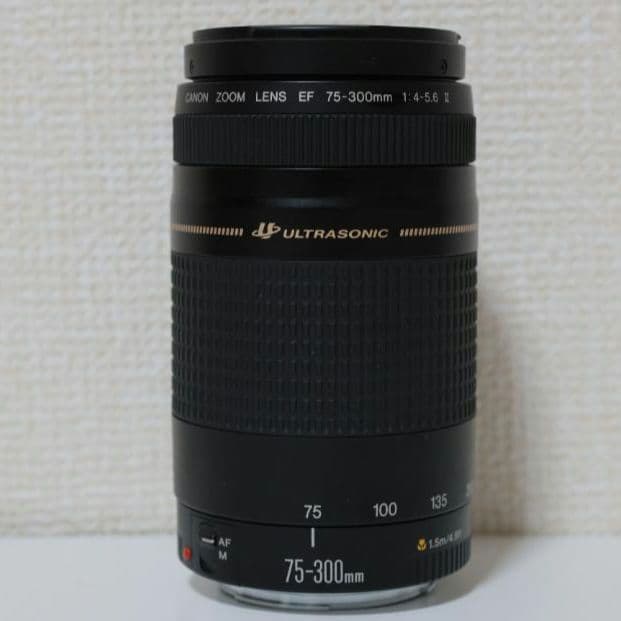 Canon EF 75-300mm 1:4-5.6 ⅱ