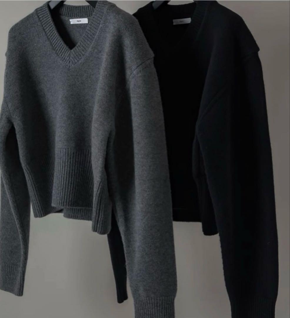 digne Vネックニット