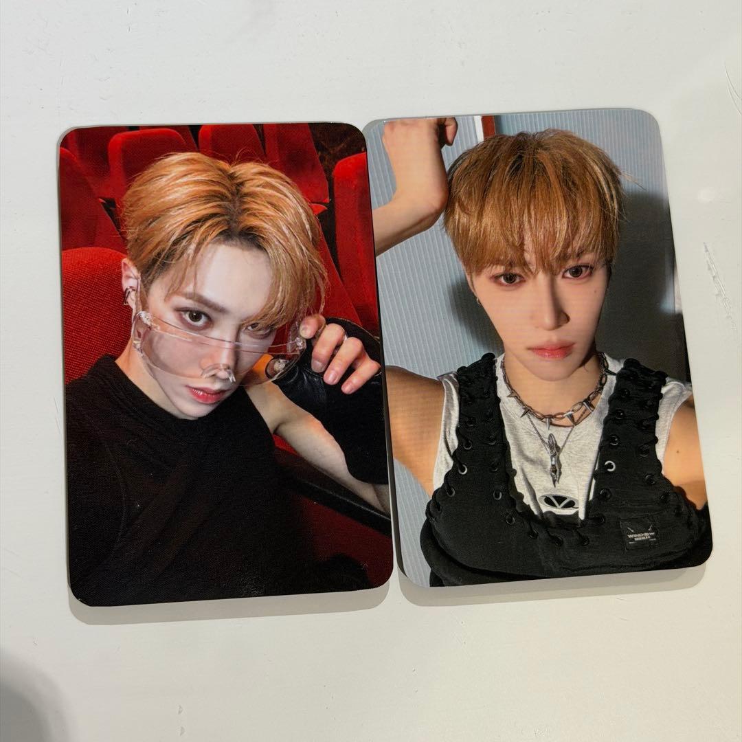 ALD1 EUPHORIA トレカ ショーケース ショケ アルノ