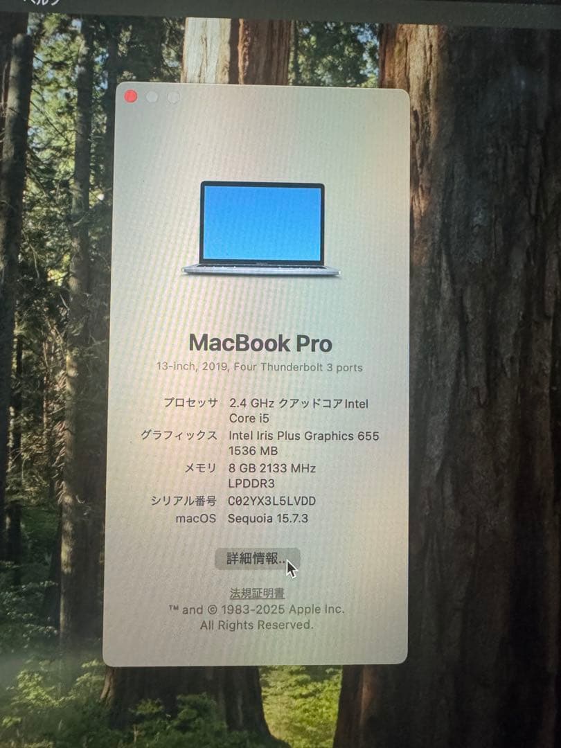 MacBook Pro 13インチ 2019｜SSD512GB｜動作正常