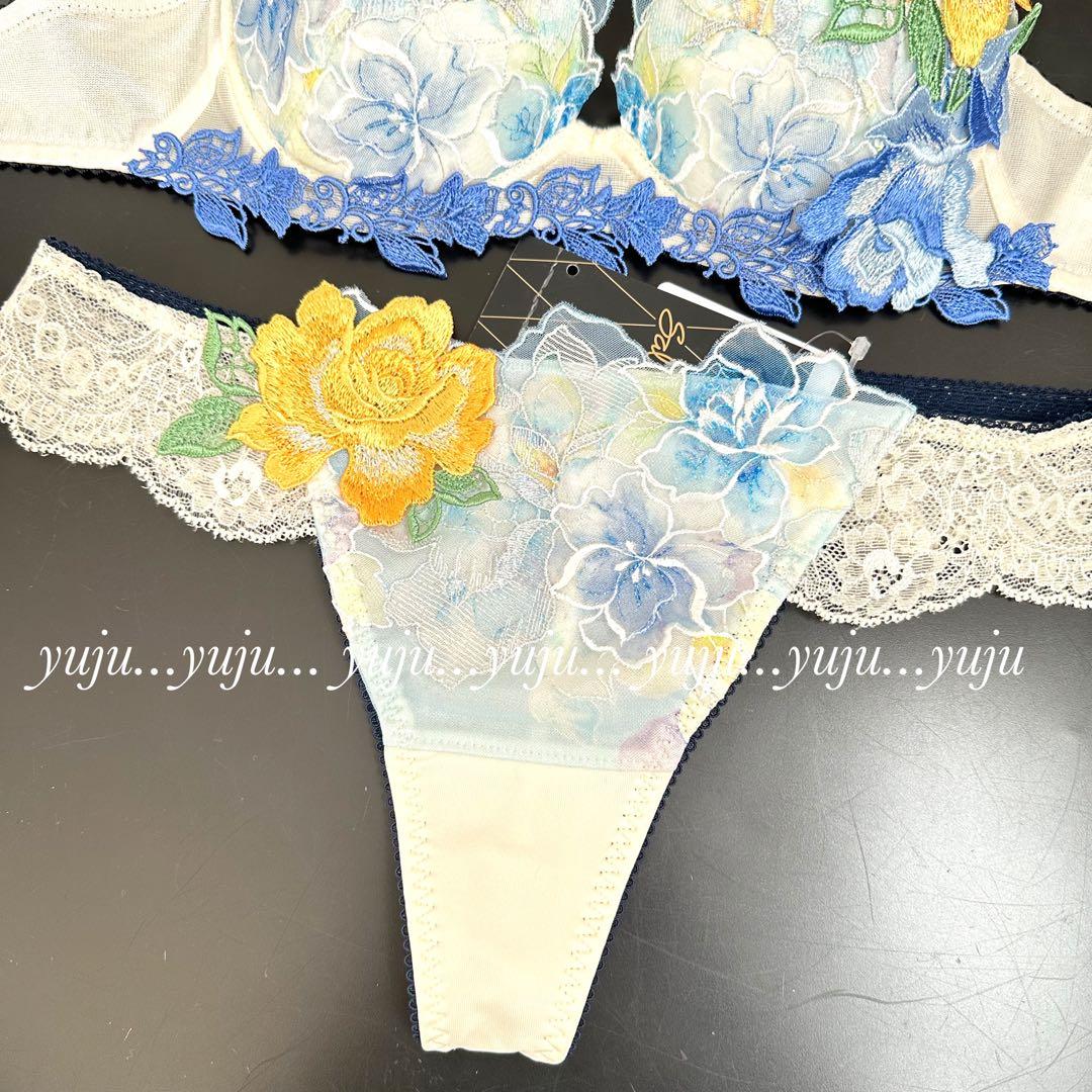 ワコール/サルート 06G 新品タグ付 P-upブラソング C65