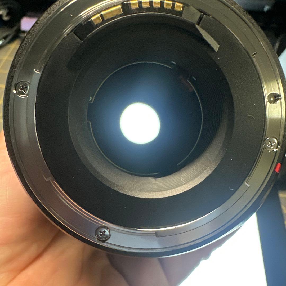 レンズ(ズーム) TAMRON SP 70-300mm F4-5.6 Di VC USD EF