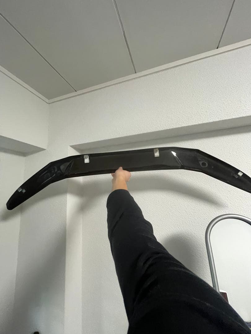 50プリウス　バグガード