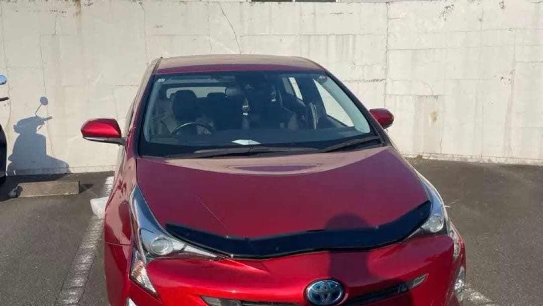 50プリウス　バグガード