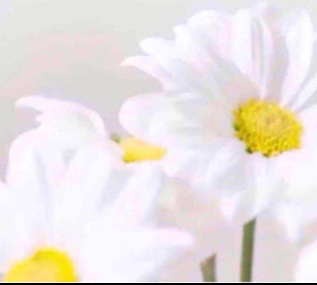 K☆★☆ クリーム2