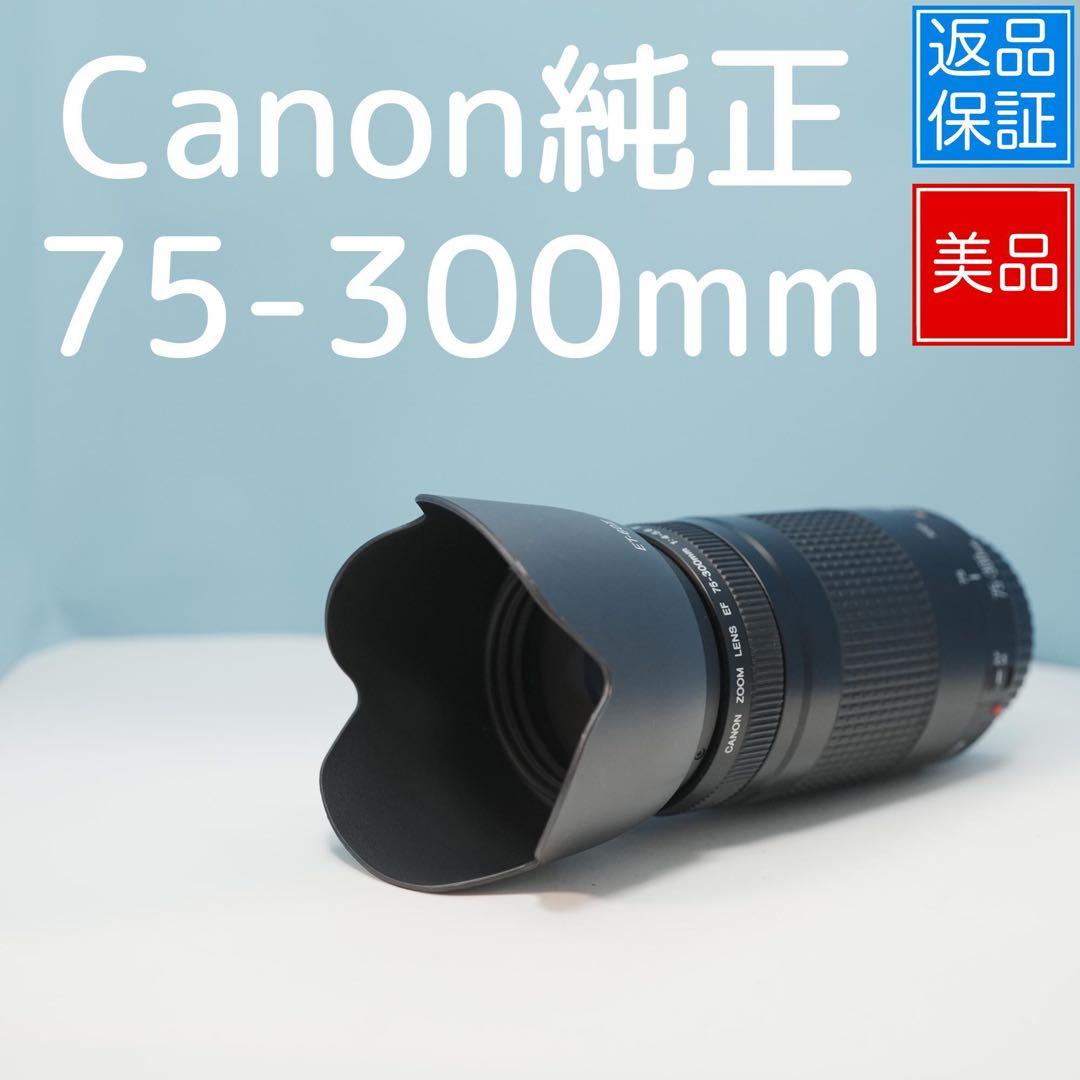 Canon純正 75-300mm 望遠レンズ 美品 a4452
