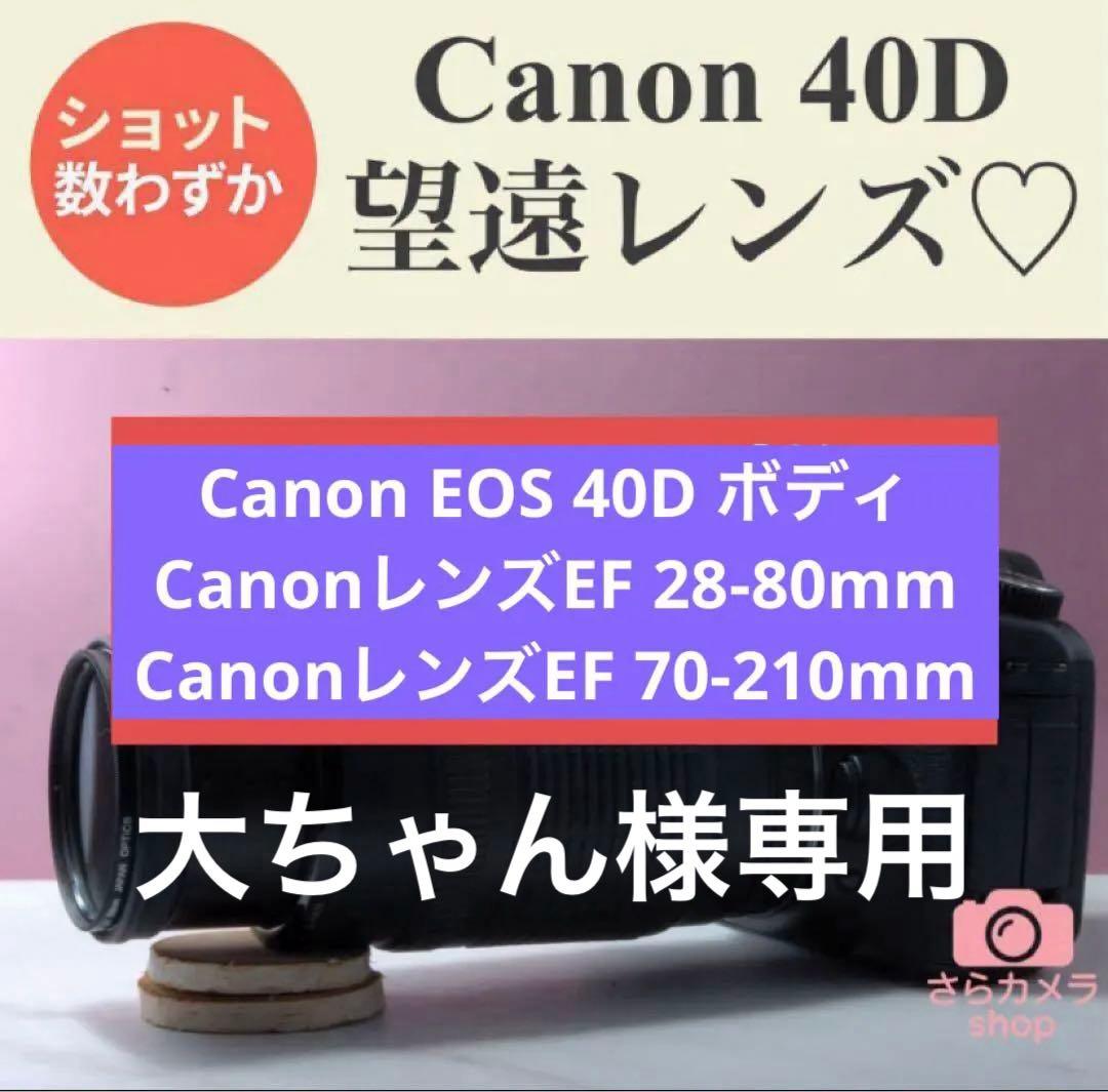 大ちゃんページ　Canon EOS 40D /レンズ2本セット
