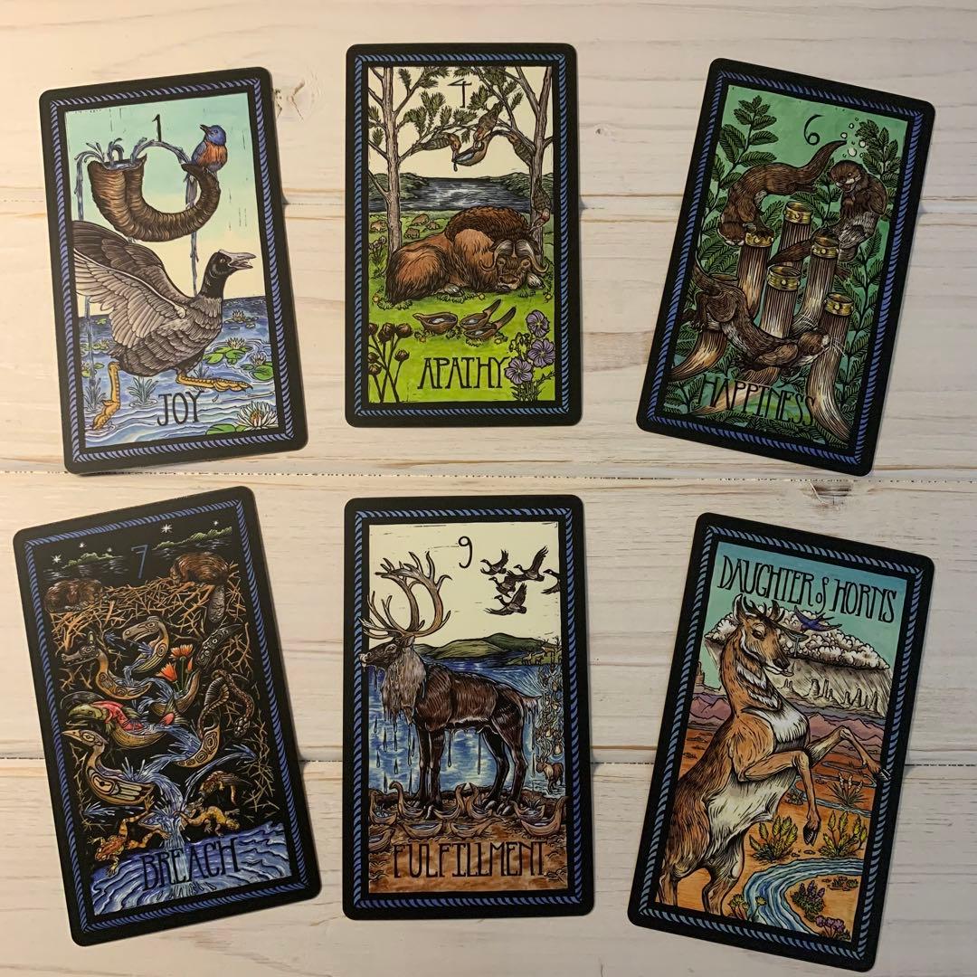 THE BRADY TAROT 海外タロットカード