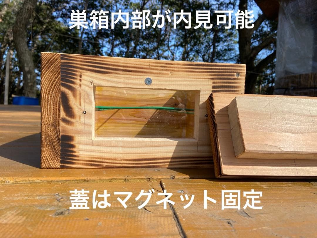 日本蜜蜂重箱式巣箱　待受スタートアップセット