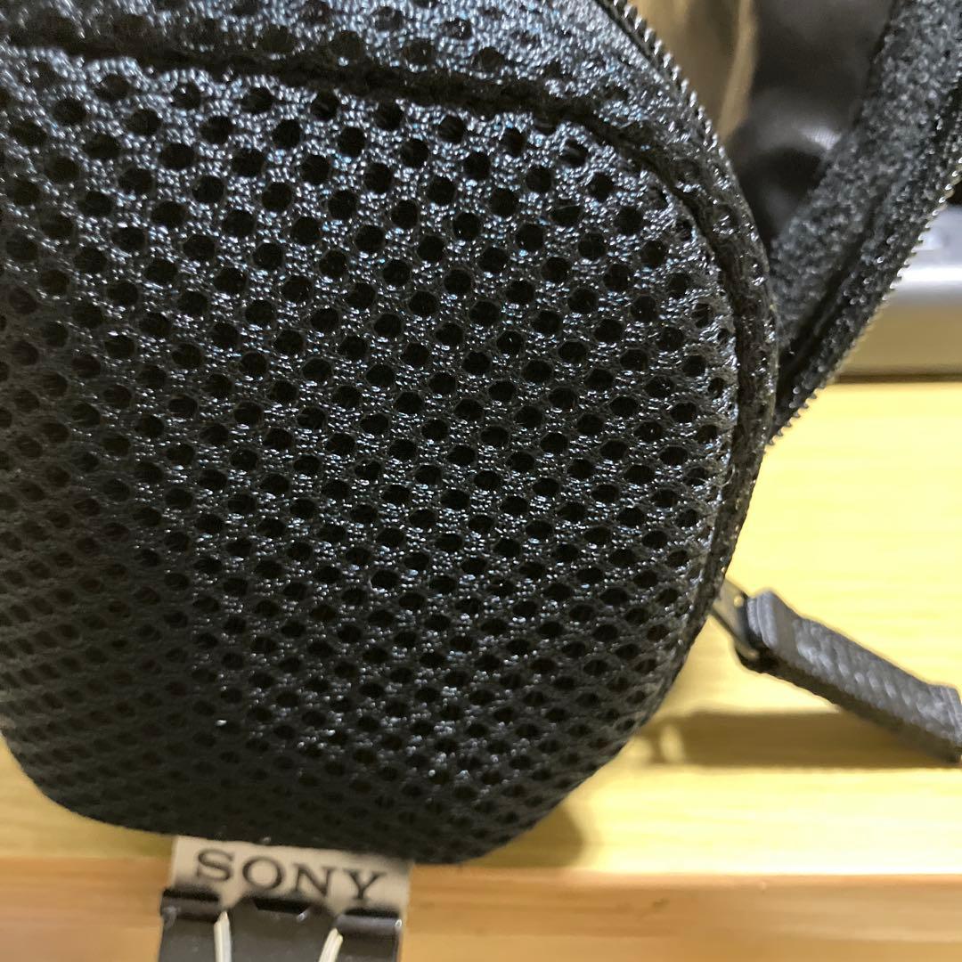 SONYハンディカムHDR-CX480 ホワイト　使用少なめ