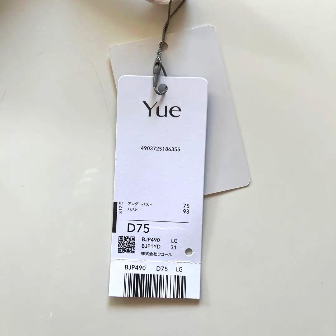 Yue 刺繍ブラジャー D75ライトグレー