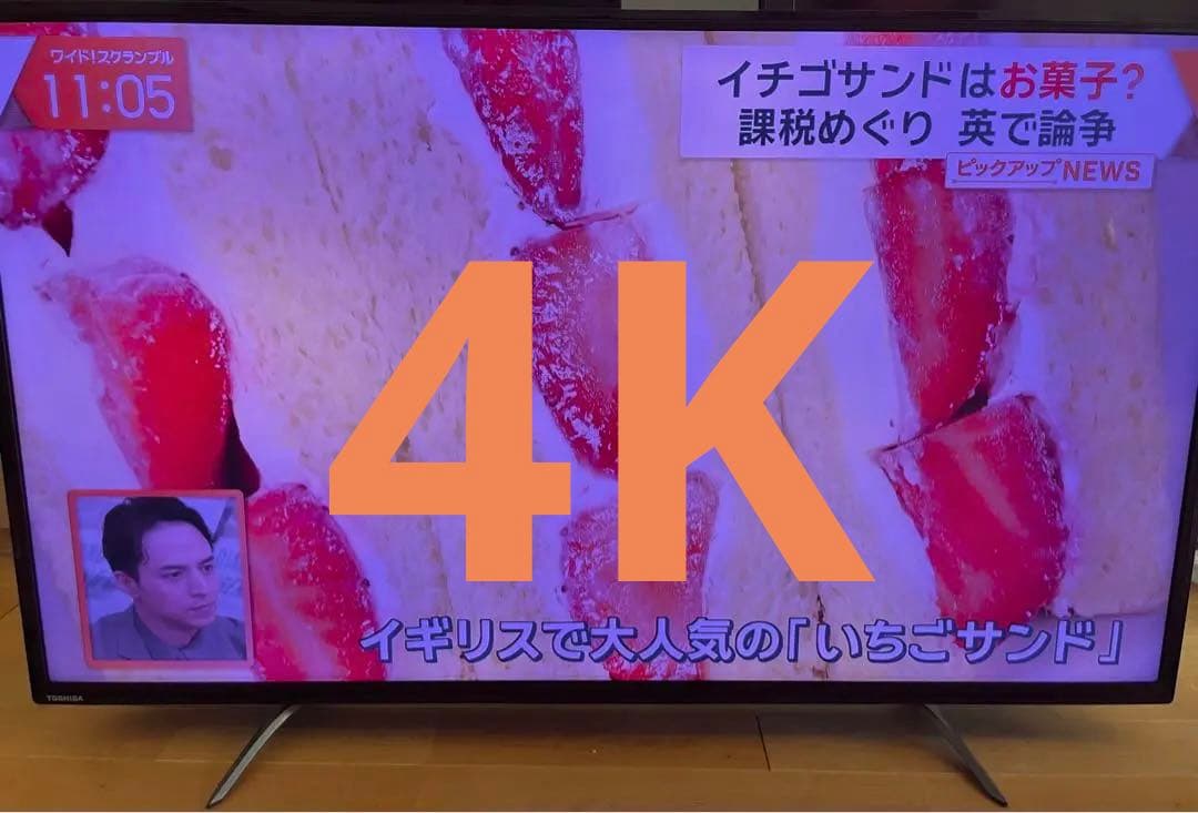 訳あり　東芝 REGZA 49C310X 4K レグザ