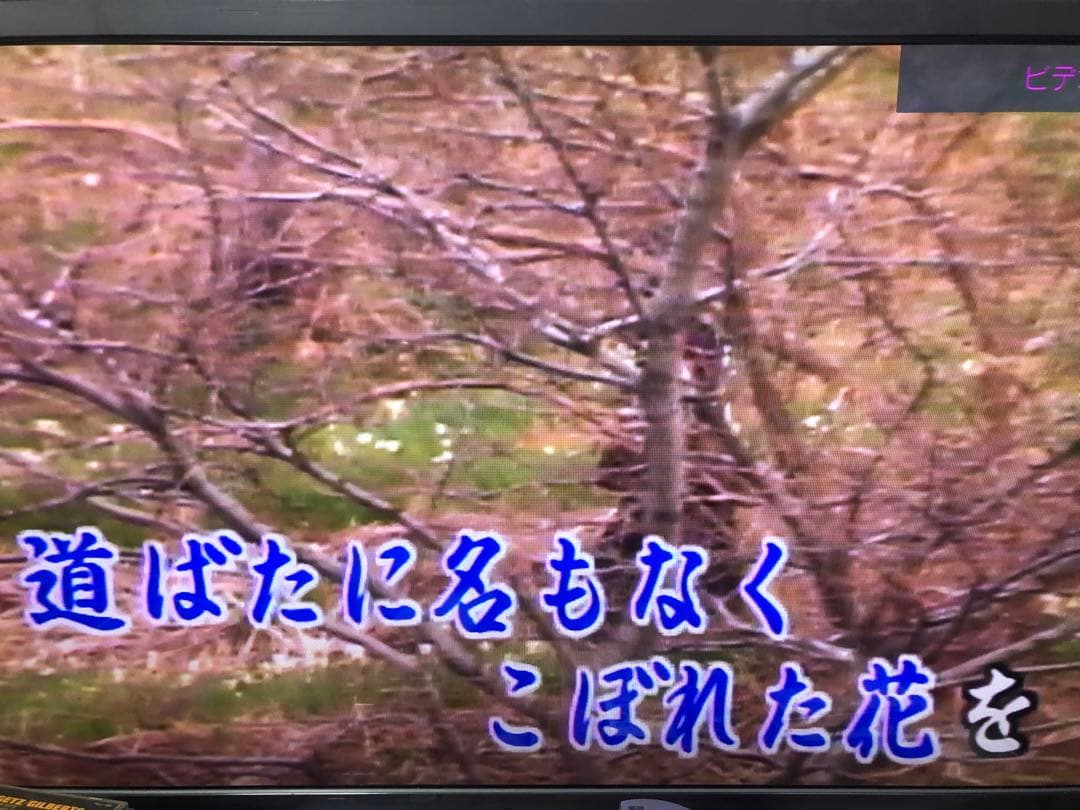 Pioneer パイオニア　CLD-K80 LDプレーヤー　リモコン付き