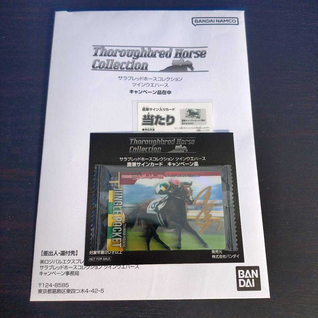 サラブレッドホースコレクション　キャンペーン当選品　ジャングルポケット