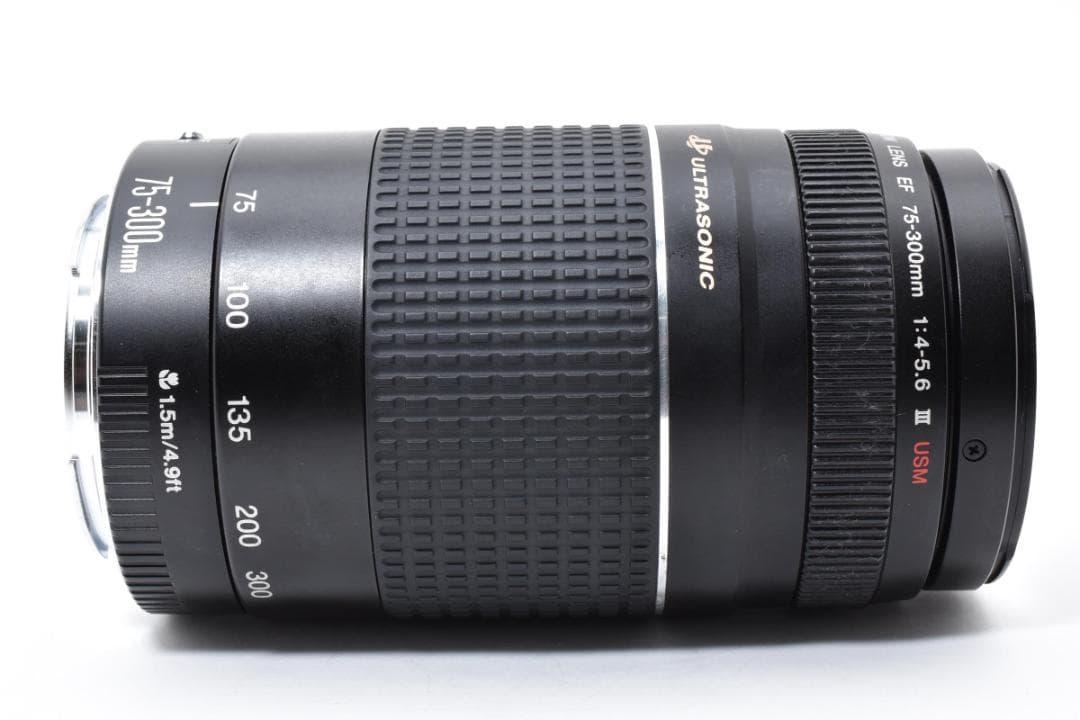 超望遠レンズ スポーツ観戦や旅行 Canon EF75-300㎜ III USM