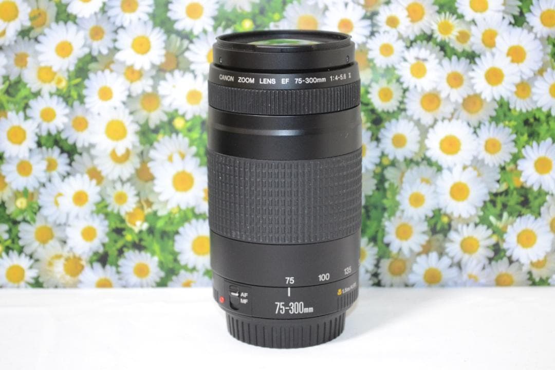 大迫力300㎜❤望遠レンズ❤大人気❤スポーツ❤Canon EF75-300㎜