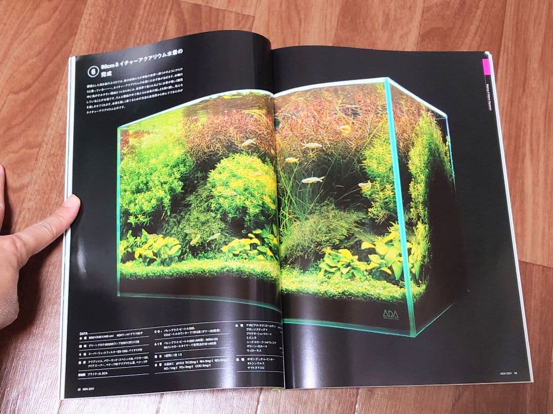 熱帯魚 天野尚 ガラスの中の大自然 水草レイアウト 作品集 ＋ ADA2001