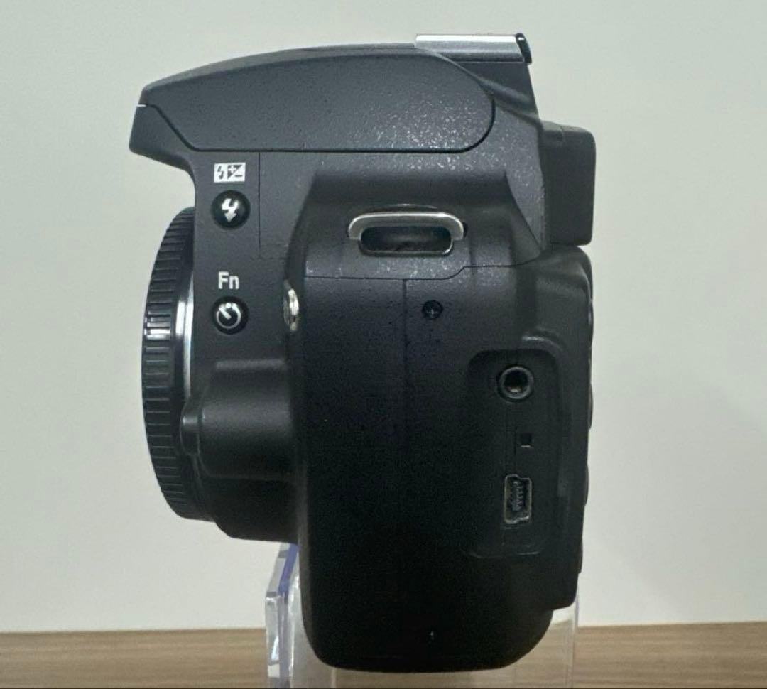 Nikon D40x＆AF-S NIKKOR 18-55mmレンズ【動作確認済】