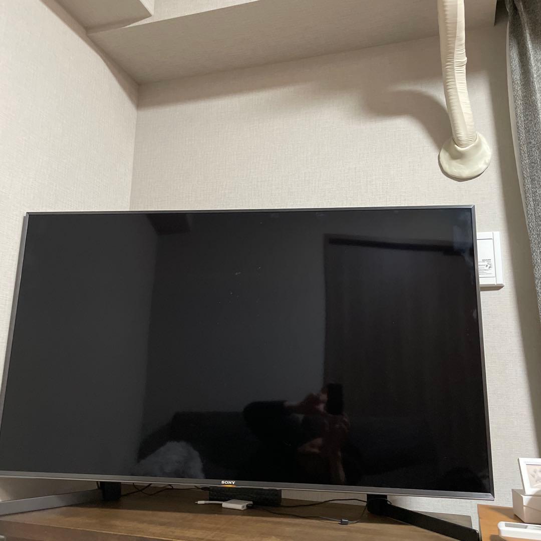 sony BRAVIA 49型