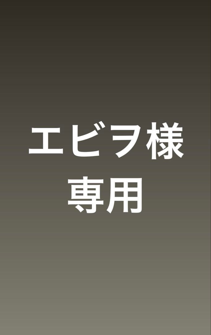試着のみ・ほぼ未使用✨デュアルモニター ノートPC用 Windows/Mac対応