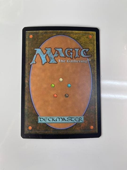 沼 swamp アーティスト拡張 サイン　alter art