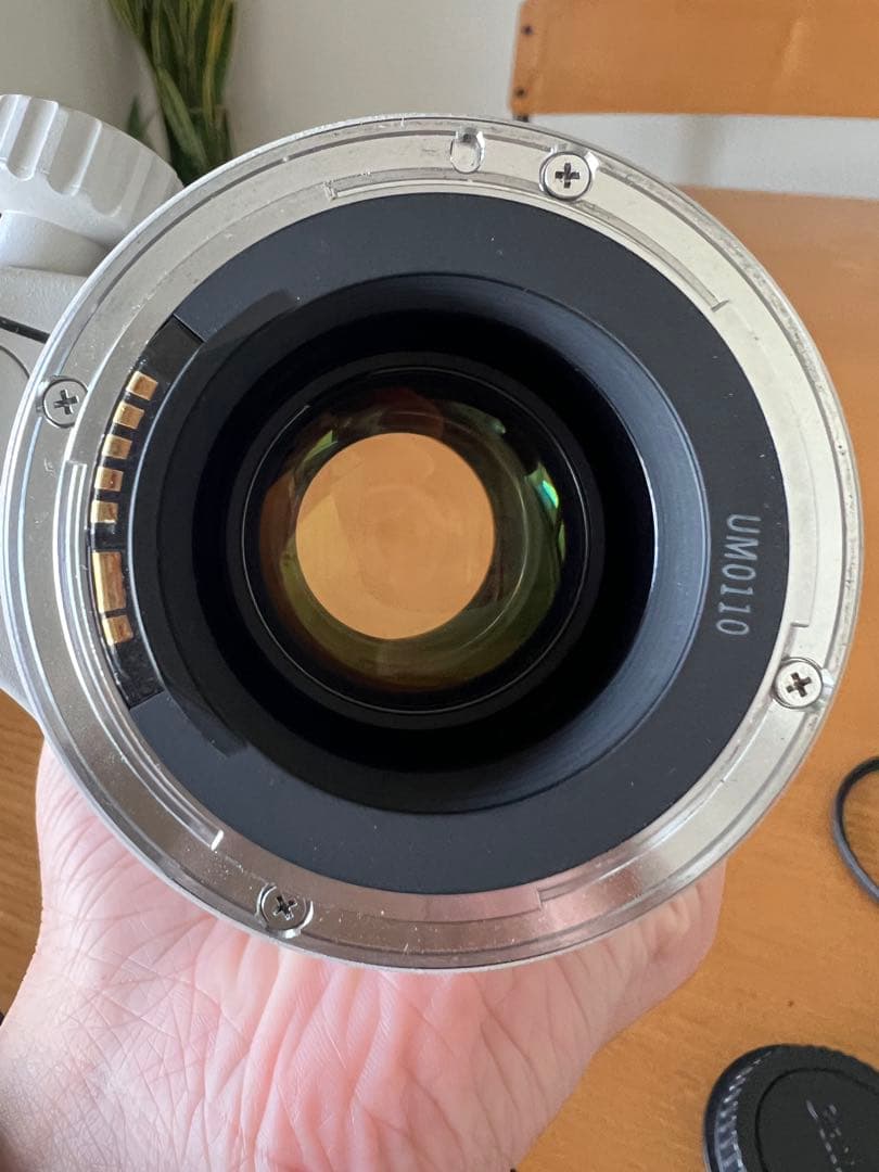 【美品】Canonレンズ　EF35-350mm F3.5-5.6L USM