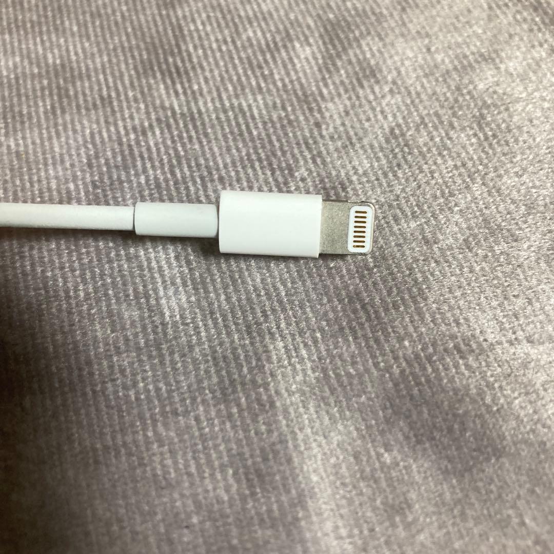 純正 Apple MagicKeyboard キーボード マウス ケーブル