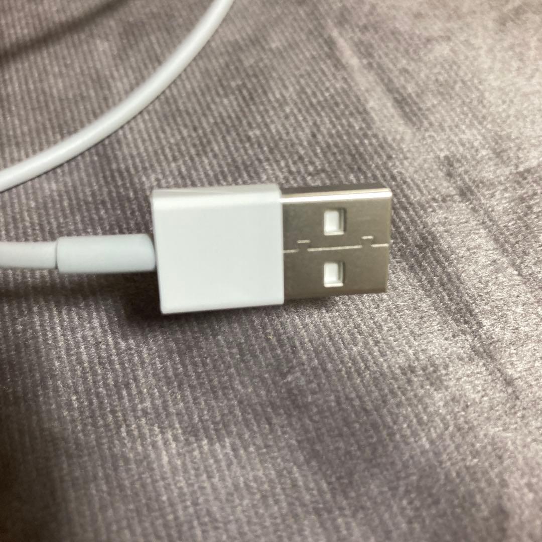 純正 Apple MagicKeyboard キーボード マウス ケーブル